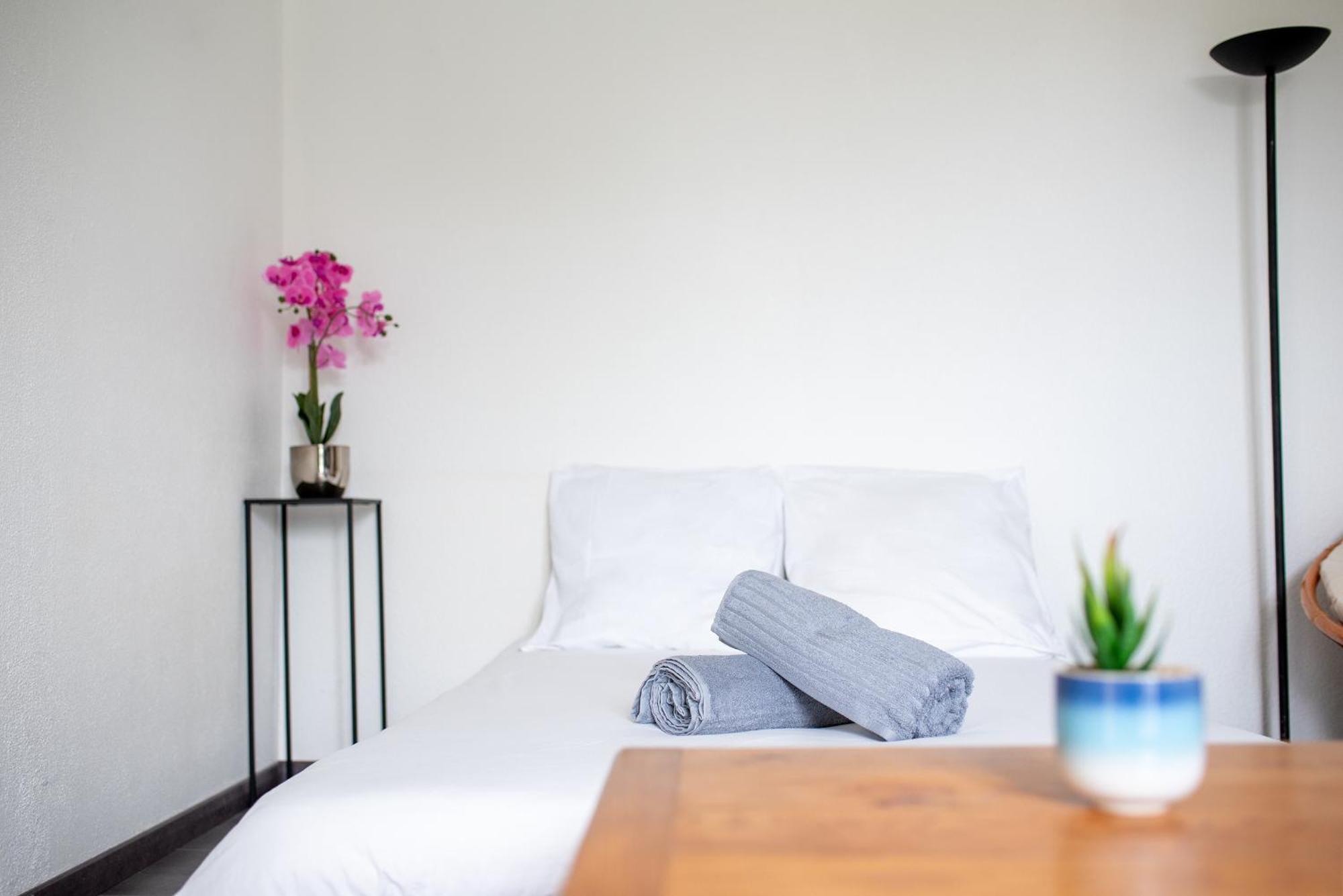Apartmán T2 Rangueil - Terrasse + 2 Parkings - 4 Personnes Toulouse Exteriér fotografie